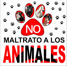 descarga